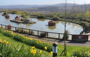 overlook of the nature park pond and path.